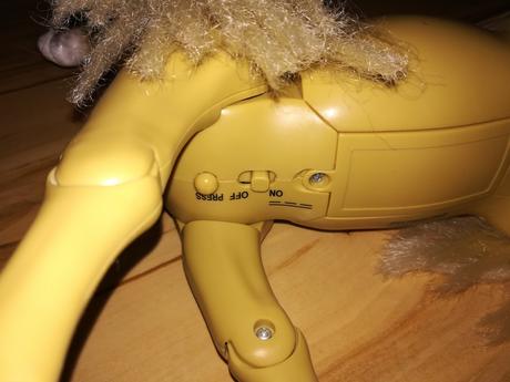 Kráčajúci a erdžiaci koník, 