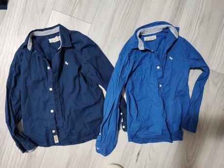 Kosela, l.o.g.g.,134