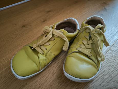 Protetika adela, protetika,37