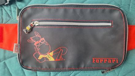 Ferrari ladvinka, 