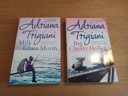 Adriana trigiani v anglictine xs24, 