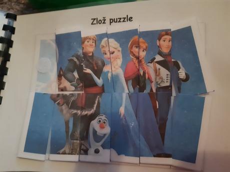 Zosit s aktivitami frozen (activity book),