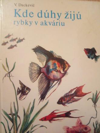 Kde žijú dúhy ô, 