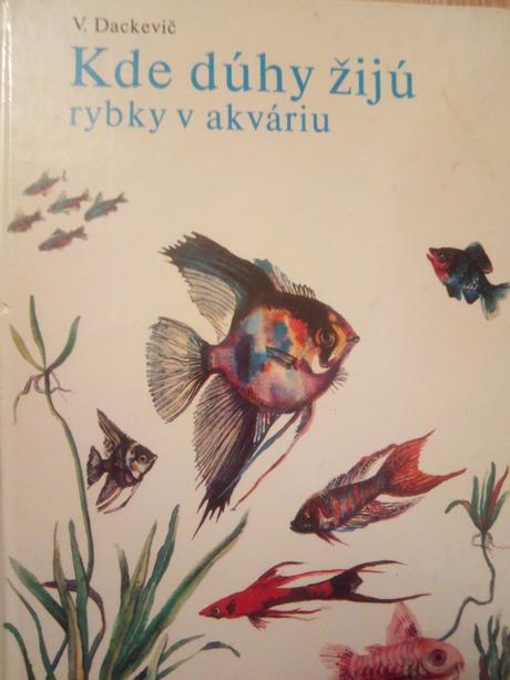 Kde žijú dúhy ô, 