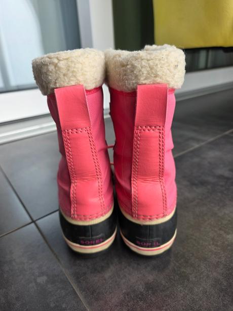 Snehule sorel, sorel,34