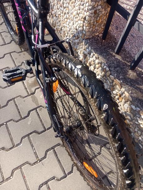 Dievčensky bicykel, 24