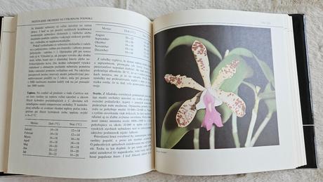 Kniha orchidey, j. zákrejs,
