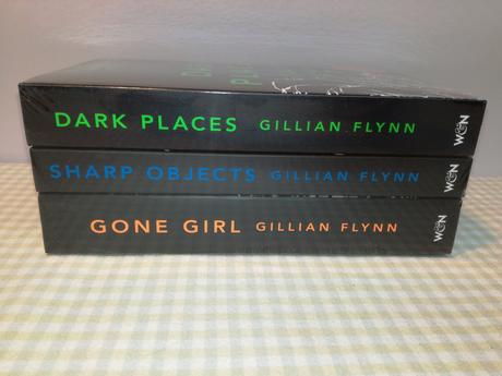 Gillian flynn in english nau21, 