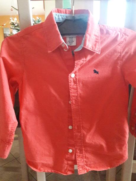 Kosela ruzova 104, l.o.g.g.,104