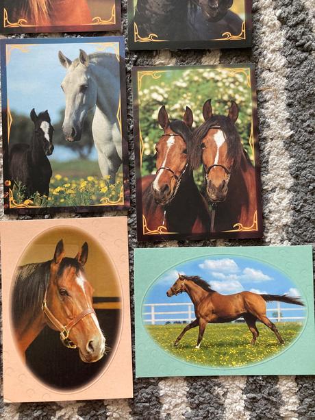 Pohľadnice koní nepopísané 10ks,