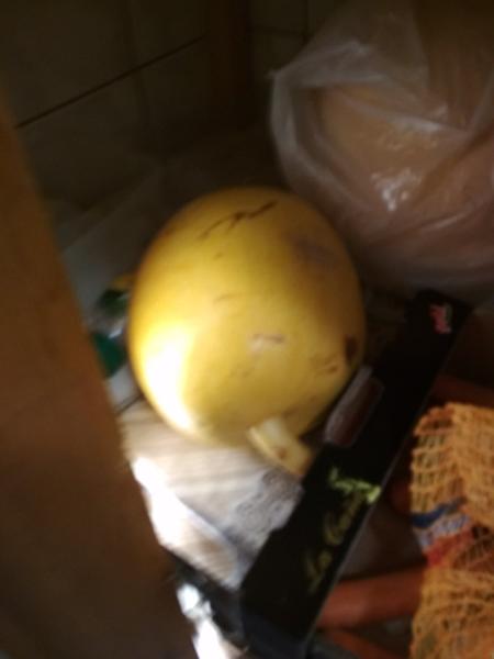 Ako sa volá táto tekvica a od kedy ju dávať deťom?