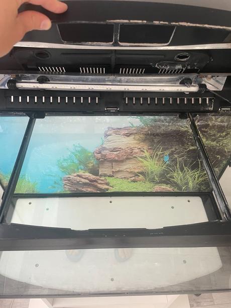 Akvarium - 100l,
