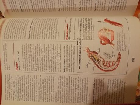 Kniha ako si dať rady takmer so všetkým, 