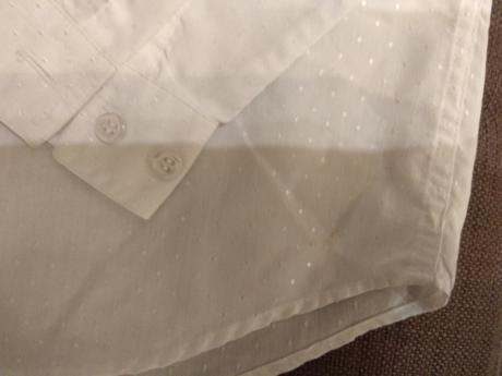 122 snehobiela kosela, palomino,122