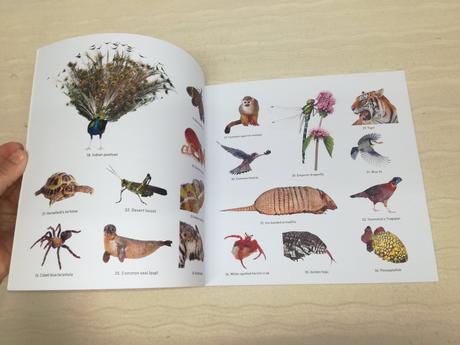 Dk animals of the world colouring book nau19, 