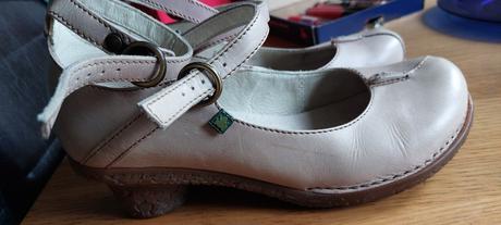 El naturalista č.41, 41