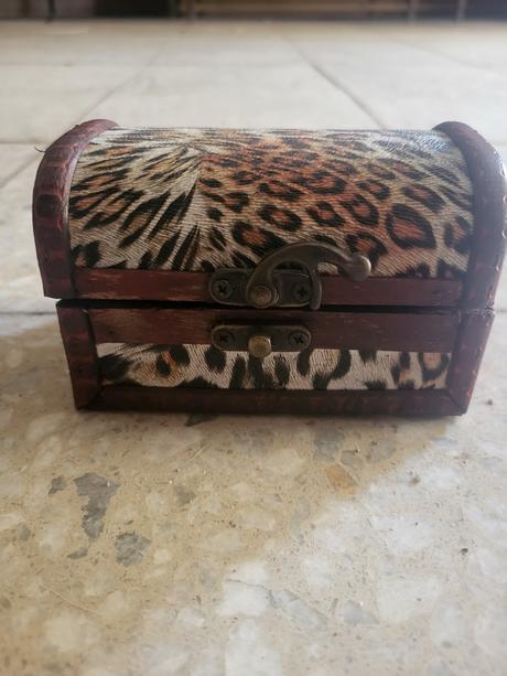 Šperkovnica leopardia nova, 