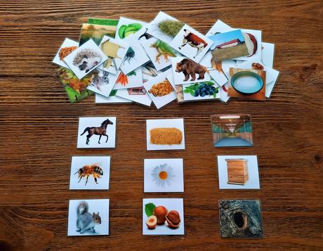 Kartičky zviera-potrava-domček, 