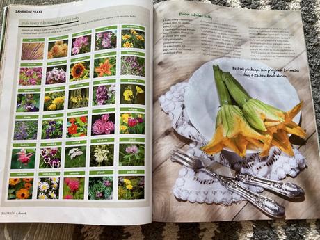 Časopisy záhrada 4ks,