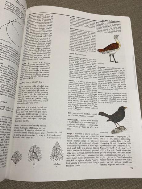 Veľký školský lexikón slovenské pedagogické nakl, 