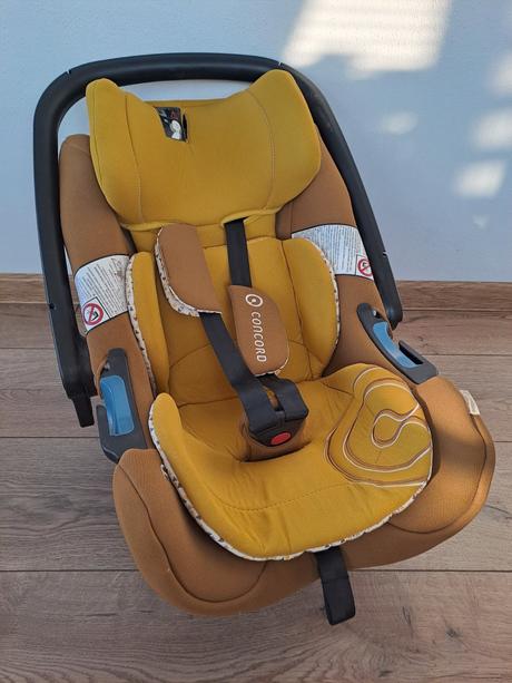 Concord vajicko, concord