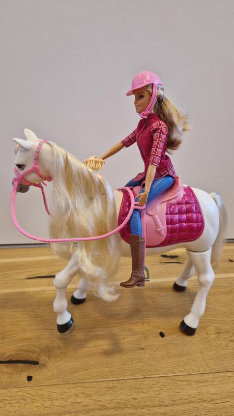 Mattel babika barbie a interaktivny kon dreamhorse, 