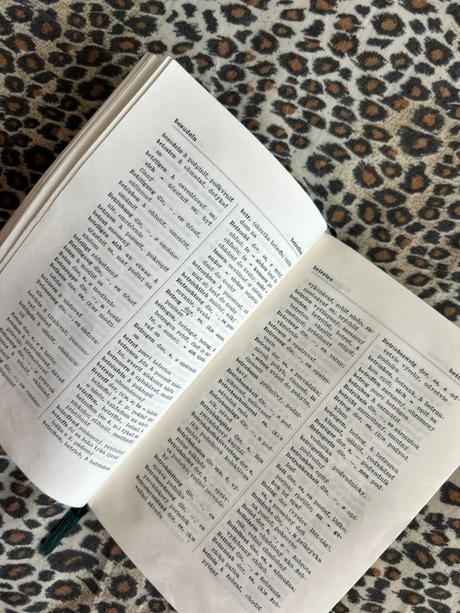 Nemecko-slovenský slovník,