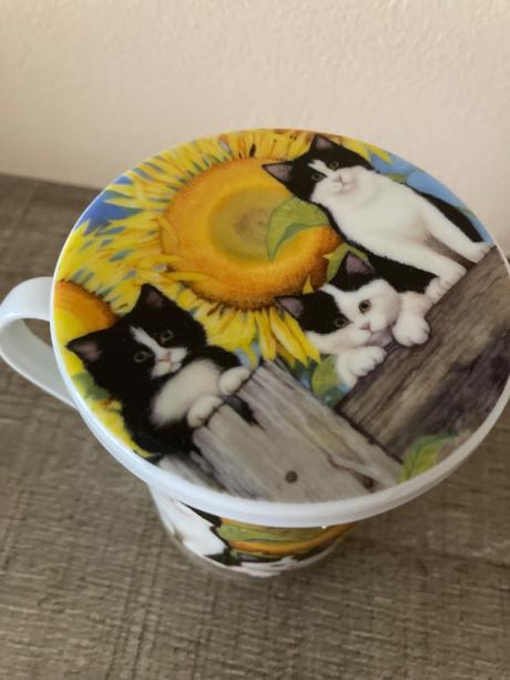 Šálka mačka so sitkom, 