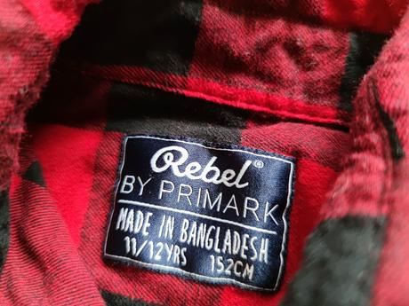 Karovana červená koaela, rebel,152