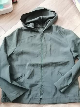 Tenucka bundička, l