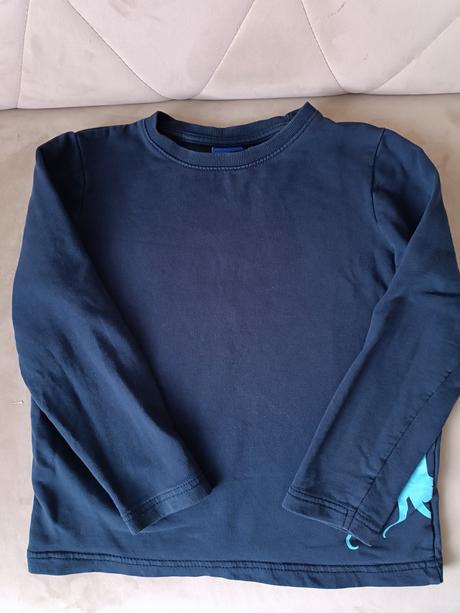 Tričko s dlhým rukávom, lupilu,122