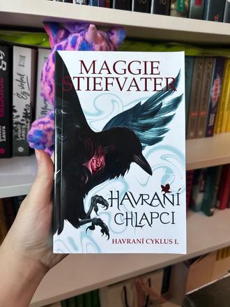 Havraní chlapci- kniha, 