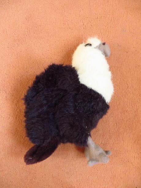 Plyšové zvieratká -žirafy, tiger, sova, orol, psík, 