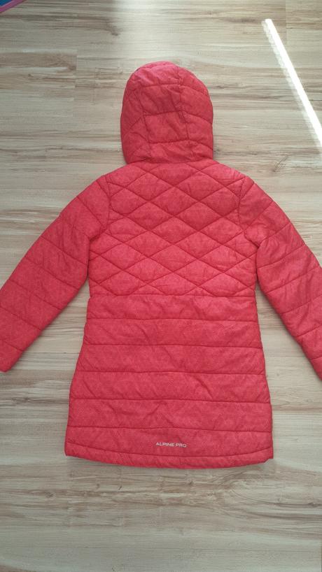 Vetrovka, alpine pro,134