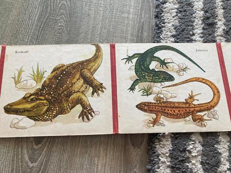 Uhádneš, kto som prvé vydanie (1976), 