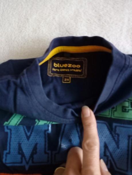 Tričká 2ks, bluezoo,98