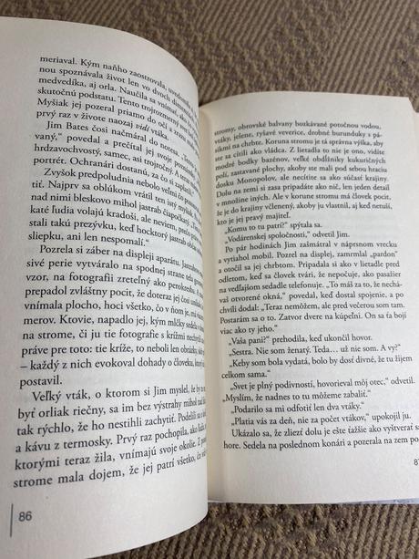 Zátišie s omrvinkami anna quindlen,