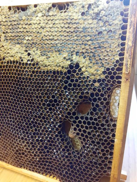 Propolisová masť s mätou, 