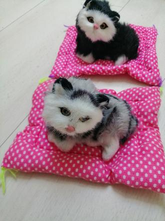 Mačičky na peliešikoch 2 ks,