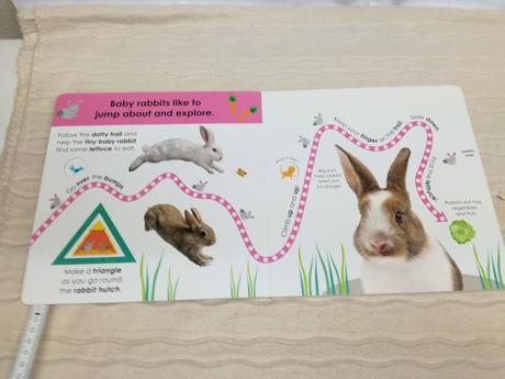 Follow the trail baby animals au19, 