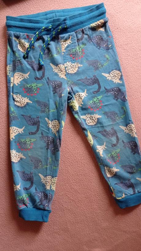 Suprava dinosaury, mikina a teplaky, pepco,98