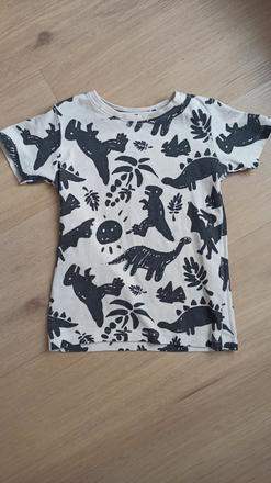 Tričko s dinosaurami, 122