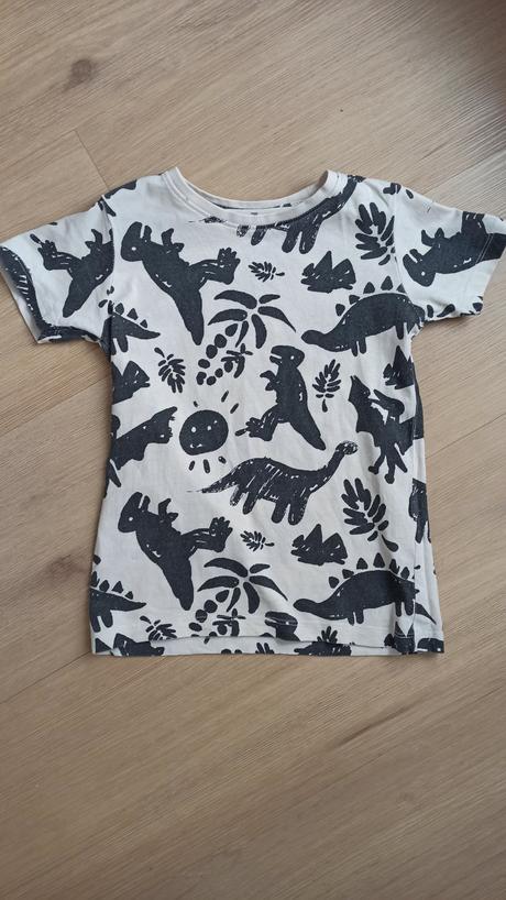 Tričko s dinosaurami, 122