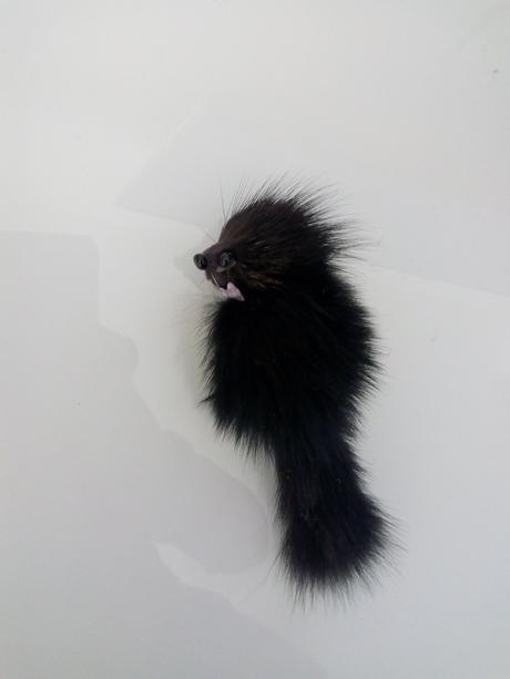 Kozusinove zvieratko,