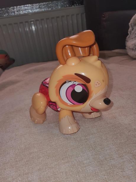 Paw patrol, 
