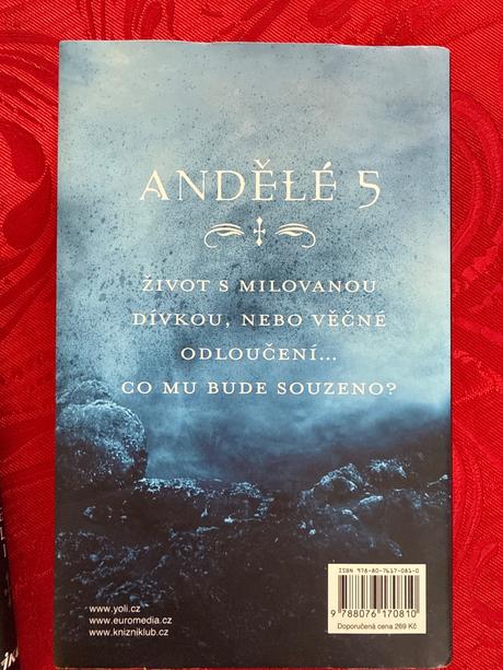 Odpušteni - zamilovani anjeli (kateova), 