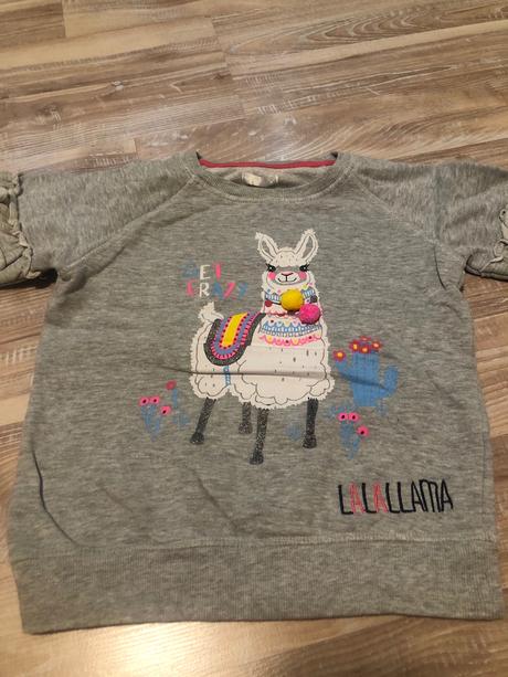 Mikinka s brmbolcami, pepco,122