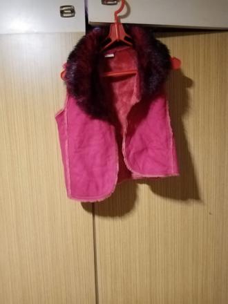 Dievčenska vesta, 110