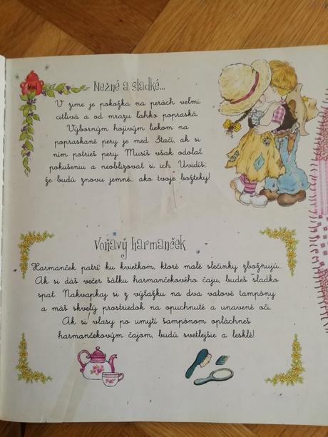 Rok zábavy so sáriu,