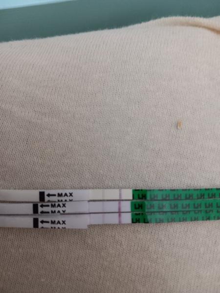 Prečo ovulačný test slabne?